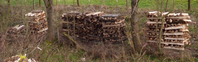 Holzstapel - entspannend zu betrachten